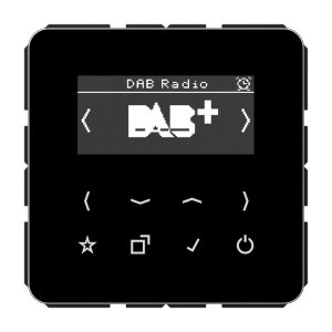 Preview: Jung Smart Radio DAB+, Digitalra DABCDSW