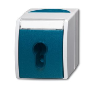 Busch-Jäger 2733 SLW-53 ocean® (IP 44), Schalter/Taster, Schlüsselschalter, grau/blaugrün (1101-0-0917)