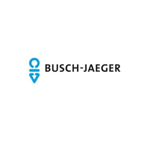 Busch-Jäger Symbol grün   2525-13, 2CKA001433A0838