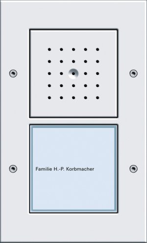 Gira 126666 Tuerstation AP 1fach Tuerkommunikation Reinweiss