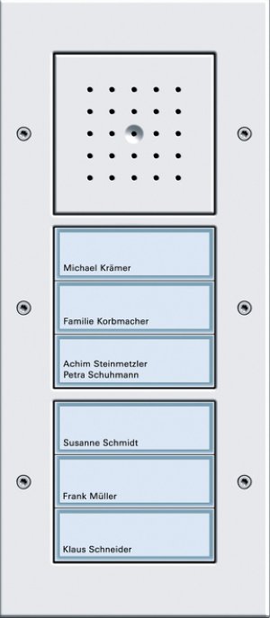 Gira 126866 Tuerstation AP 6fach Tuerkommunikation Reinweiss