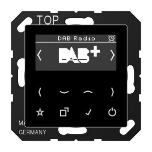 Jung Smart Radio DAB+, Digitalrad DABASW