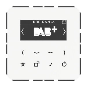 Jung Smart Radio DAB+, Digitalra DABCDWW