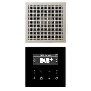 Jung Smart Radio DAB+, Display , DABES1