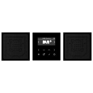 Jung Smart Radio DAB+ Set Stere DABLS2SW