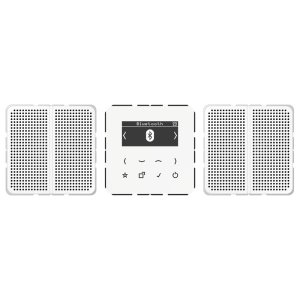 Jung Smart Radio DAB+ mit Blu DABCD2BTWW